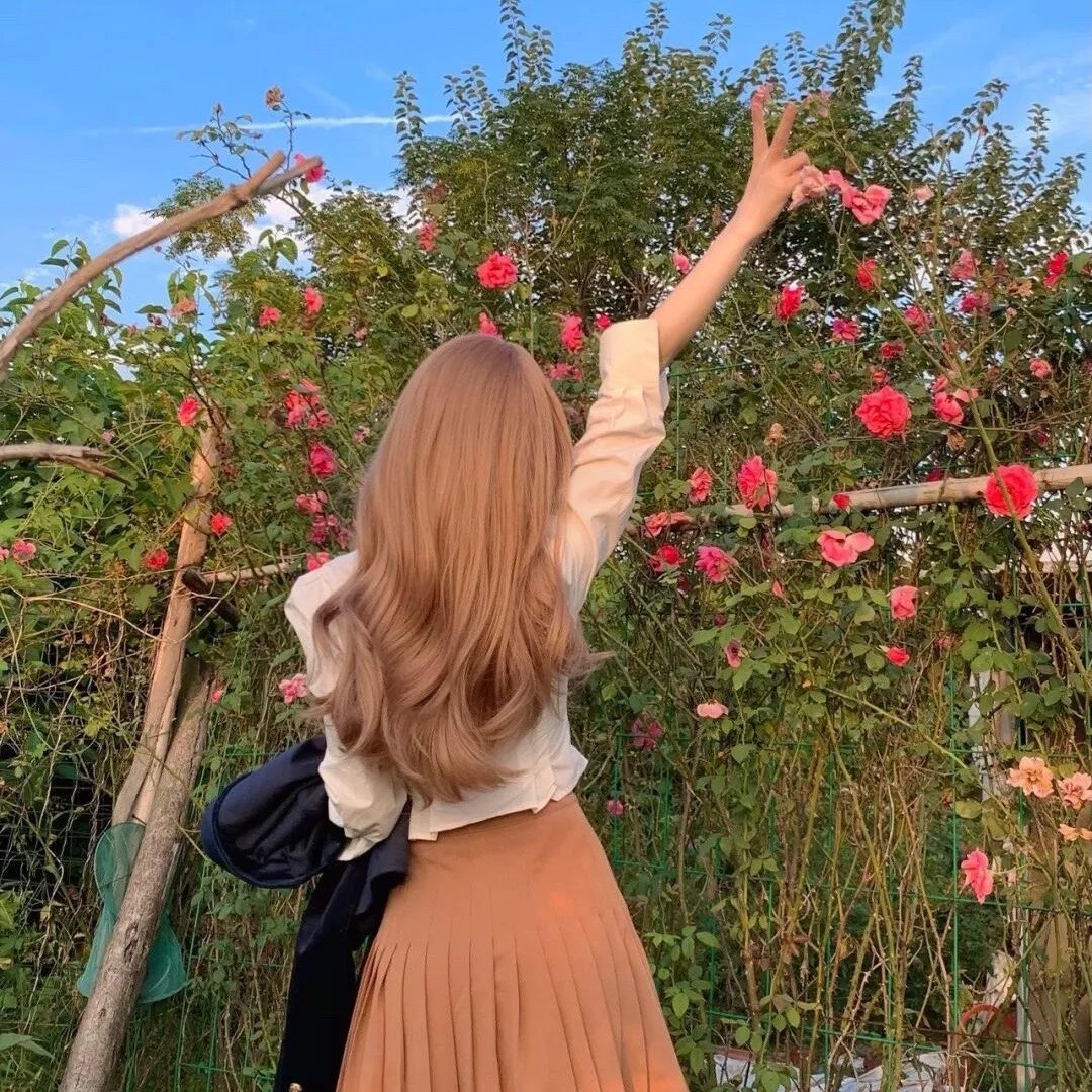 七种性格的猴子